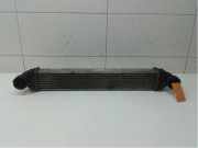 Ladeluftkühler Mercedes-Benz A-Klasse W169 1695000000