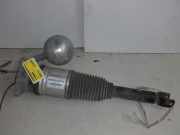 Federbein rechts hinten VW Phaeton 3D 3D0616002K