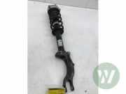 Federbein links vorne Audi A4 Avant 8W, B9 8W0031AA