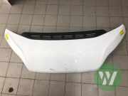 Motorhaube Fiat Ducato Kasten 250 1380670080