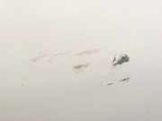 Tür rechts vorne Hyundai Tucson IV NX4A, NX4E 76004N7005