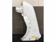 Kotflügel links vorne Ford Transit Connect P*2 9T1616016AB