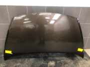 Motorhaube Kia Carens IV RP