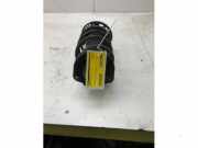 Federbein links vorne Audi Q3 8U 5N0413031AE