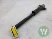 Stoßdämpfer rechts hinten Audi A4 Allroad 8W, B9 8W0616025H