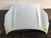 Motorhaube Kia Sportage 4 QL, QLE 66400F1000