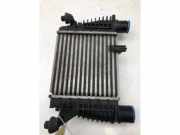 Ladeluftkühler Nissan Juke F15 14461EM00A