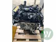 Motor ohne Anbauteile (Benzin) BMW 1er F40 11005A07710