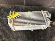 Ladeluftkühler Zastava Rival Pritsche/Fahrgestell 2827104610