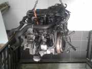Motor ohne Anbauteile (Diesel) VW Passat B5 3B2