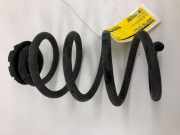 Feder hinten Renault Zoe BFM 550203432R