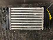 Ladeluftkühler Nissan Micra V K14