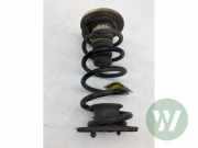 Feder hinten VW Caddy V Kasten SBA, SBH 5R3511115BK