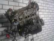 Motor ohne Anbauteile (Benzin) Ford Ka RU8