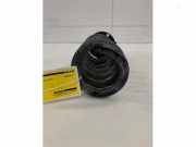 Feder hinten Mercedes-Benz GLC Coupe C253 2533241004