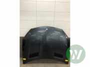 Motorhaube Mercedes-Benz M-Klasse W166 1668800057