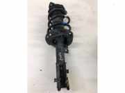 Federbein links vorne Kia Ceed 3 CD 54651J7AA0