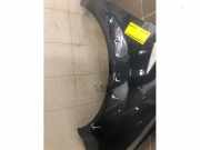 Kotflügel rechts vorne Renault Grand Scenic II JM 7701474853