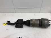 Federbein links vorne Mercedes-Benz GLC X253 2533200338