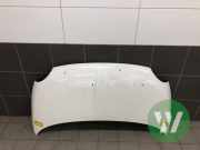 Motorhaube Fiat 500 312 51859537