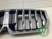 Kühlergrill BMW X1 U11 988030111