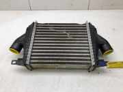 Ladeluftkühler Nissan NT400 Cabstar F24F 14461MA71A