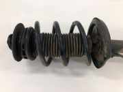 Federbein rechts vorne Opel Movano B Kasten X62 95522575