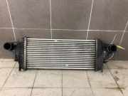 Ladeluftkühler Mercedes-Benz M-Klasse W164 1645001900