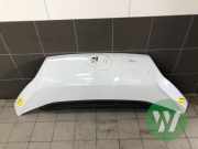 Motorhaube Fiat Ducato Kasten 250 1380670080