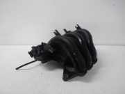 Verteilerrohr Kraftstoff VW Polo IV 9N, 9A 03D129766L