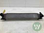 Ladeluftkühler Fiat Ducato Kasten 250 53144431