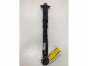 Stoßdämpfer links hinten VW Arteon Shooting Brake 3H 3Q0513049JL
