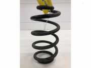 Feder hinten Renault Zoe BFM 550203432R