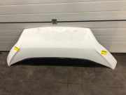 Motorhaube Peugeot Boxer Kasten 1612246980