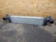 Ladeluftkühler LLK FIAT 500L (351, 352) 0.9 77 KW 51887954