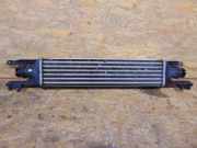 Ladeluftkühler LLK OPEL CORSA D 1.3 CDTI 55 KW 55702004~~~55702194