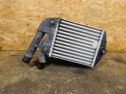 Ladeluftkühler LLK FIAT PANDA II (169) 1.3 D MULTIJET 4X4 51 KW