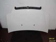 Motorhaube FIAT DOBLO CARGO (223) 1.9 D 46 KW 42043