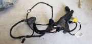 Kabelbaum links vorn Türkabelbaum Fensterheber AUDI A4 AVANT (8K5, B8) 2.0 TDI 105 KW 8K0971029B