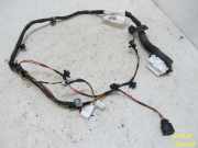 Kabelbaum Tür Links HYUNDAI I10 1,1 49 KW 916000X530-00
