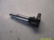 Zündspule VW POLO (9N_) 1.4 16V 55 KW 0040102030