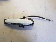 Türgriff rechts hinten Schiebetür Frostweiss FORD TRANSIT COURIER KASTEN 1.0 ECOBOOST 74 KW 77286