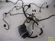 Kabelbaum Tür Vorne Rechts AUDI A6 AVANT (4B, C5) 2.5 TDI 110 KW 4B0971035AQ 4B0971035F