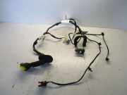 Kabelbaum links vorn Tür RENAULT TWINGO II (CN0_) 1.2 16V 55 KW 241244387R 00116052011120448