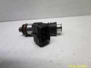 Einspritzdüse Injektor RENAULT CLIO III (BR0/1, CR0/1) 1.2 16V (C/BR1J, 48 KW 8200292590 0280158046