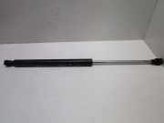 Gasdruckfeder hinten RENAULT TWINGO (C06_) 1.2 40 KW 62535