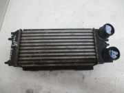 Ladeluftkühler FORD FIESTA VI 1.6 TDCI 70 KW AV219L440-AA