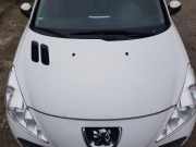 Motorhaube Weiss Blancaise EWP PEUGEOT 206 (T3E) 1.1 44 KW 7901Q9