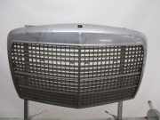 Kühlergrill korrodiert, rostig, muss überarbeitet werden MERCEDES-BENZ /8 (W115) 230.4 81 KW 11937