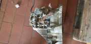Getriebe (Schaltung) CITROEN C1 (PM_, PN_) 1.0 50 KW 010001330001A